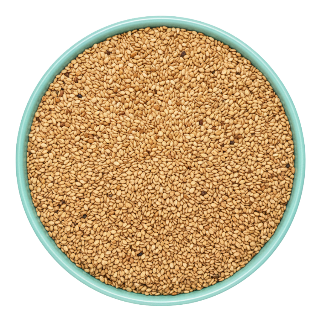 Sesame Seed (India)